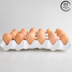 30 Hole Biodegradable Recycled Paper Egg Tray , Customizable Reusable Egg