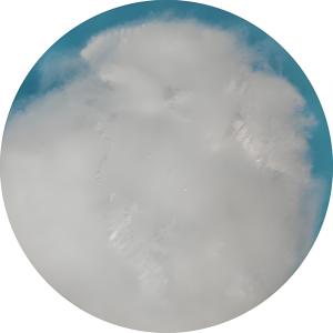 China 12D Raw White Acrylic Staple Fiber With Round Cross Section Moth Resistance factory