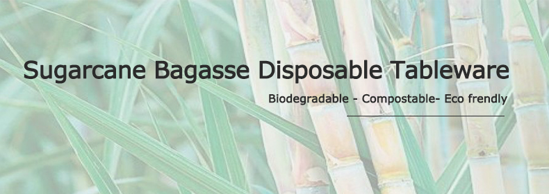 4oz 6oz 8oz 12oz Biodegradable Sugarcane Pulp Eco Cup Lids