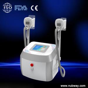 China Touch Color Screen portable Cryolipolysis Slimming Machine / portabel fat freeze machine factory