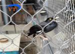 Diamond Shape Stainless Steel Bird Mesh Ferruled Type Or Bird Netting