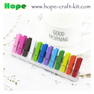 China Various Size Mixed Colors Asslorted Colors Solid Wood Clothpins Clips Pegs with Animal Fruit Christmas 72 X 14mm factory