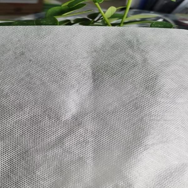 GAOXIN Manufactory PVA 35mu Cold Water Soluble Film for Lightweight Spunlace