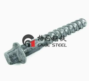 China SS35 Railway Sleeper Spike Perfect Solution for Rail Fasteners factory