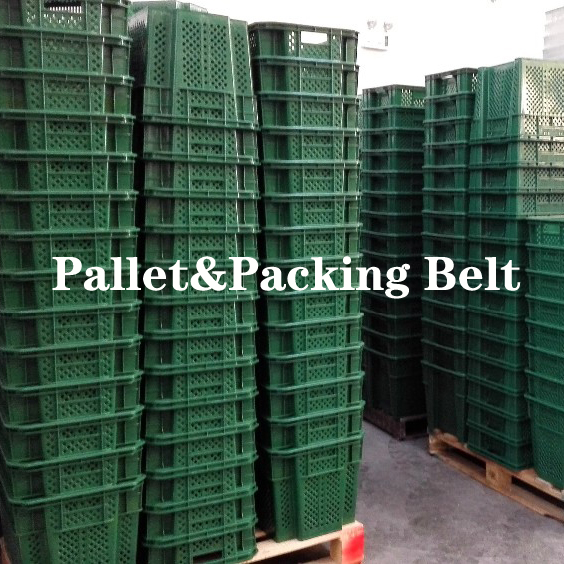 Plastic Mesh Crates Stackable Turnover Crates For Fruits And Vegetables 485x360x290mm