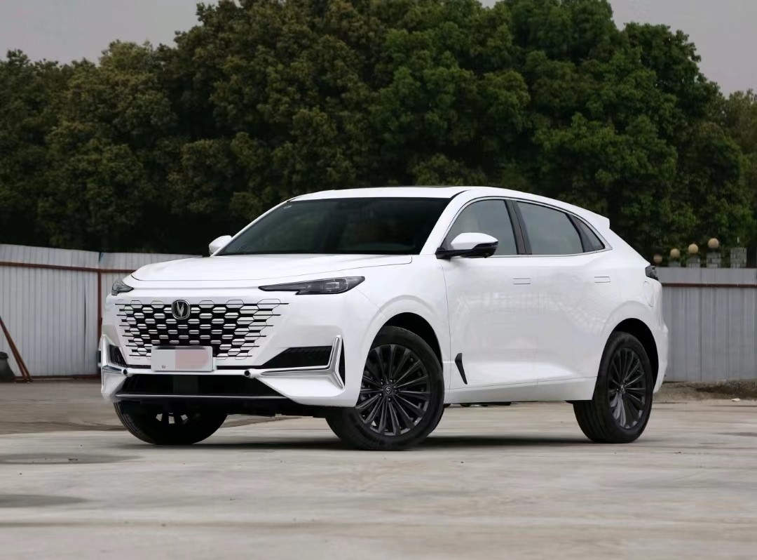UNIK New Energy 2022 Blue Whale IDD 1.5T Zhuoyue Version Hybird Medium SUV