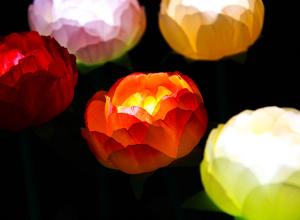 China LED Simulation Peony Lights Wedding Scene Layout Lighting Festival Commercial Beauty Display Bright Decoration factory