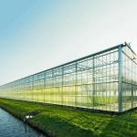 Multi Purpose 500KW BIPV Greenhouse Solar System