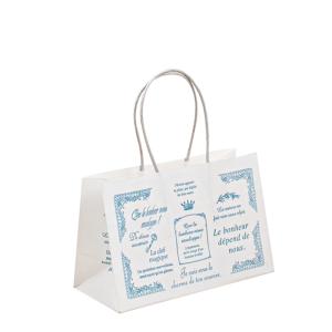 China Customized Handle Paper Bags Recyclable Non-Smell OEM ODM Service on sale