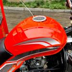 300cc Motorcycle Tricycle Red Body 3 Wheel Cargo Standard Size 12V for Global
