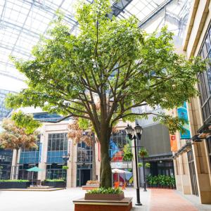 China Artificial Indoor Banyan Tree Evergreen Leaves No Water Faux Tree No Pest Plants factory