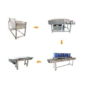 China Hot selling China Supplier Multi Functional Vegetable Washer by Huafood factory