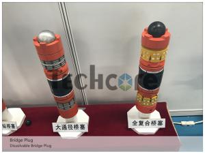 China SGS BV Dissolvable Bridge Plug Oil Well Tools Well Completion 600 Mm Length factory