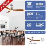 Restaurant 220 Volt Decorative Ceiling Fan With Led Light Remote