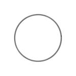 188-4217: Cat® Wear Ring Caterpillar