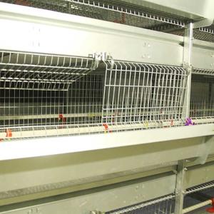 China 4 Tier 195CM Baby Chick Cage A Type Galvanized Q235 Steel Material Durable factory