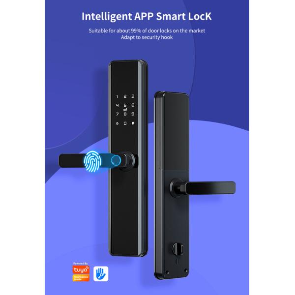 QLEUNG S818 Smart Wifi Door Lock with Fingerprint Password Card Access