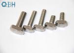 Non-standard metric T bolt, stainless steel T bolt 304 316 A2-70 A2-80 A4-70 A4