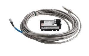 China PR6423/015-010 EPRO 75mm With Adapter Plug 5.0m Cable Length Cable End Lemo factory