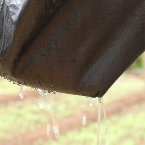 PP Woven Geotextile Weed Control Barrier Landscape Fabric for Ground Cover Width 1-6m