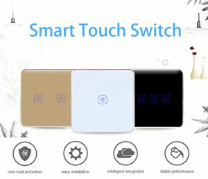 China WiFi 240V 2 Gang Tuya Smart Switch With Google Alexa Voice Control factory