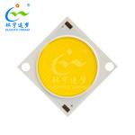 1313 1919 2828 LED COB Chip 3W 10W 100W High Brightness
