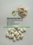 White Kidney Bean Extract 3000 units/g, 10:1，phaseolin1-3%, Chinese manufacturer
