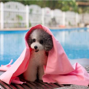 China 66*43 large pet bath towel dog bath towel synthetic chamois PVA towel Clean pet towel factory