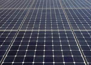 China 8.84 A Yingli Monocrystalline Solar Panels DC 1000V ISO9001 / CE Approved factory