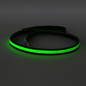 China USB Rechargeable Reflective Pet Leash 47 Inches Glowing Dog Accessories factory