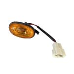 Jianghuai Light Truck Accessories Weiling Junling Shuai Ling Door Turn Signal