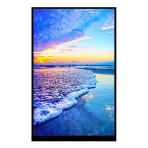 China 8.0 Inch 800x1280 IPS LCD Display MIPI NV3051F1 Technology TFT Module factory