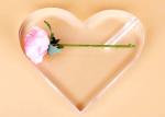 Clear Heart Shape Acrylic Display Stands Roses Love Frame Tabletop Rack For