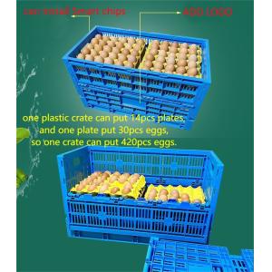 Mesh Style Foldable PP Plastic Egg Crate for Transportation in Poultry Meshy Box