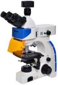 Trinocular Biology Lab Microscope 40X 100X Epi Fluorescence Microscope
