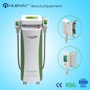 China Vertical Cryolipolysis Machine Cellulite Fat Removal Slimming With 2 Handles factory
