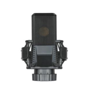 China Low Distortion V22 16 KHz Condenser Mics , Microphone For Pc Recording factory