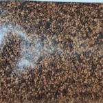CAS No. 94333-93-4 20/30 Mesh Camellia Oleifera Seed Extract Powder