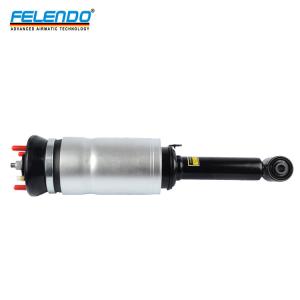China Front Air Suspension Shock Absorber For Land Rover LR3 LR4 Discovery 3 Sport OE RNB501580 factory