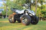 250cc 4 Stroke Single Cylinder Water Coole Four Wheel Atv 77km/H