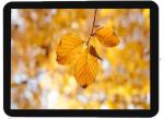 15 Inch Open Frame Wall Mounted Touch Screen Computer 5A Series High Performance