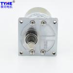 RS530 300 Rpm 6V DC Motor High Torque Low Rpm 20N.Cm Low Backlash