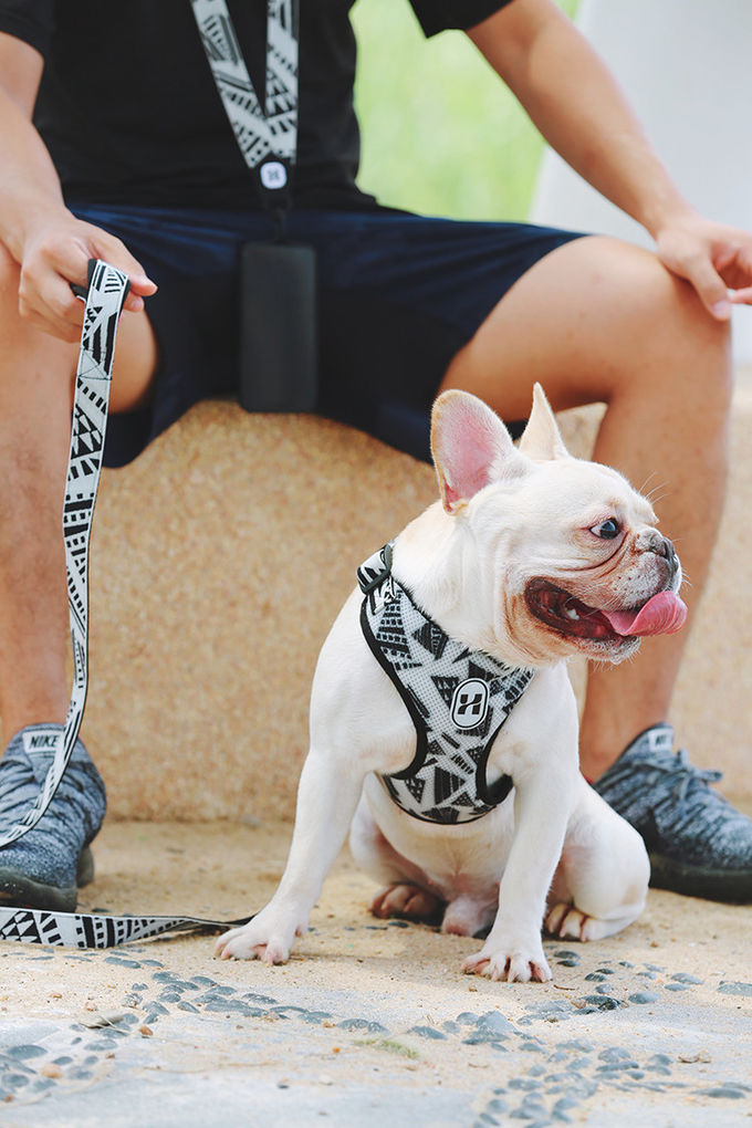 Nylon Padded Reflective Mesh Dog Harness With Handle Puppy Chest Harness