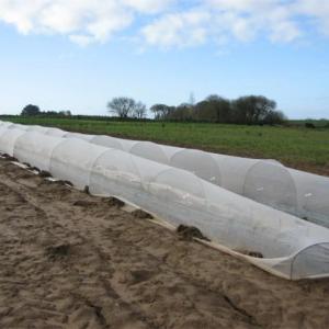 China ANTI-INSECT NET with UV factory