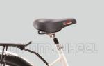 25km/H Electric City Bicycle 700C Front Wheel Gear Motor Roller Brake