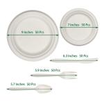 Dessert 70th 50th 90th Birthday Christmas Themed Party Paper Plates