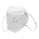 5 Ply FFP2 Dust Mask