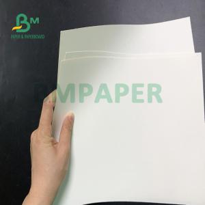 200g + 20g PE Cup Base Paper Folding Resistance Water Resistance