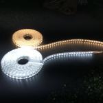 Waterproof Flexible Led Rope Light , 120V LED Tape Light SMD 2835 16.4 Ft 5M