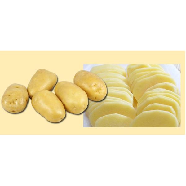 Used vegetable cube cutter cutting machine in india